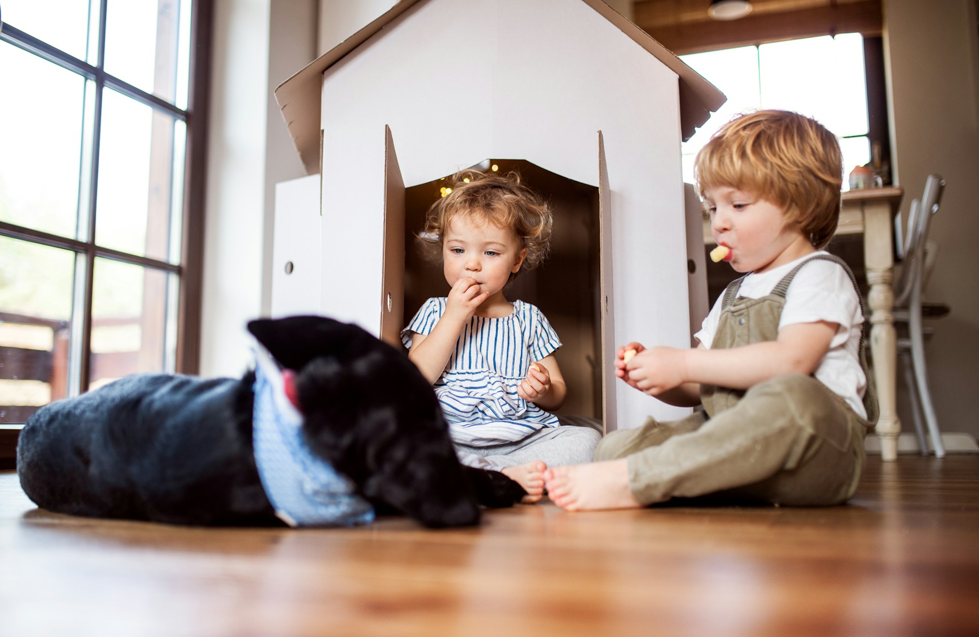 Kid & Pet Friendly Flooring